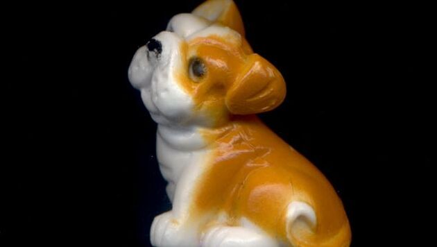 Detailed photo of a small china bulldog